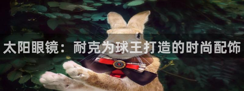 新宝5娱乐平台