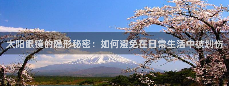 新宝5 代理