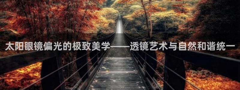 新宝5开好
