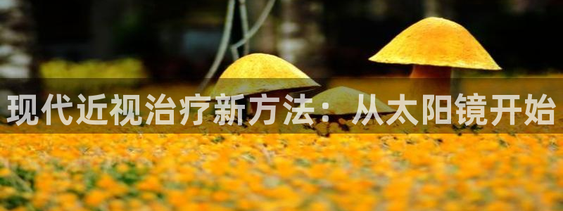 新宝5是谁