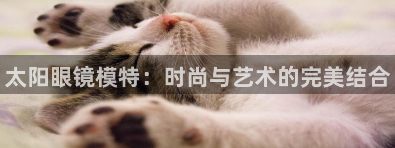 新宝5娱乐招商