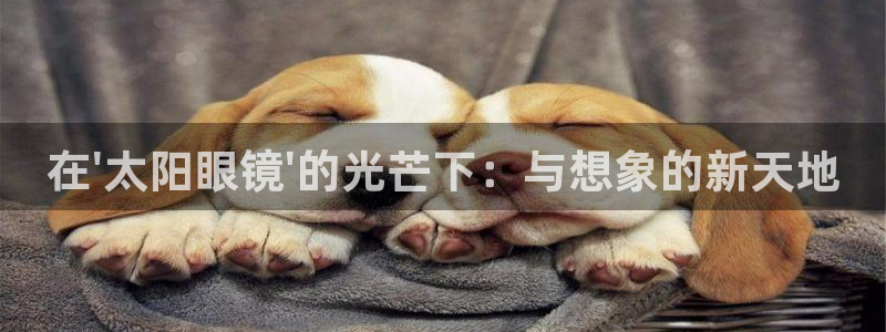 新宝5直属