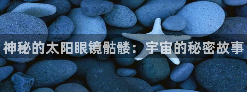 新宝股东王听2 5 5
