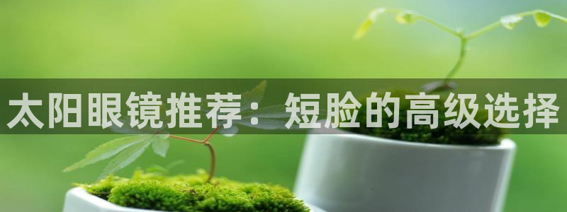 新宝5娱乐登陆