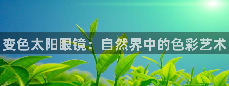 新宝5是什么