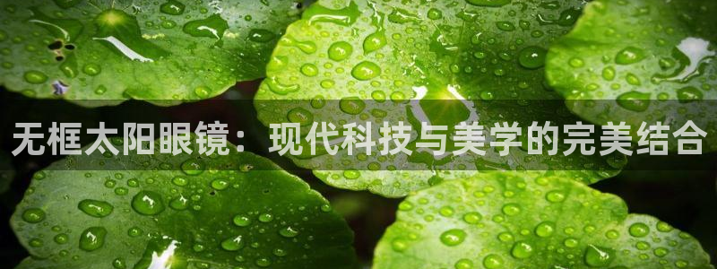 新宝5代理