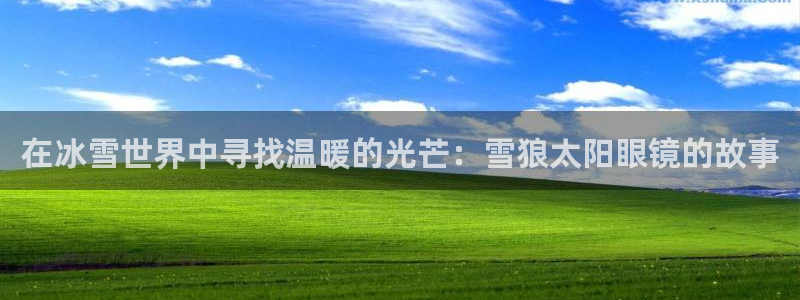 下载新宝5