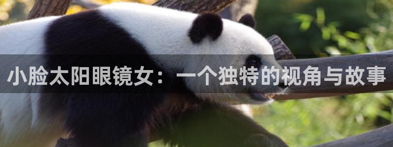 新宝奇迹GG5
