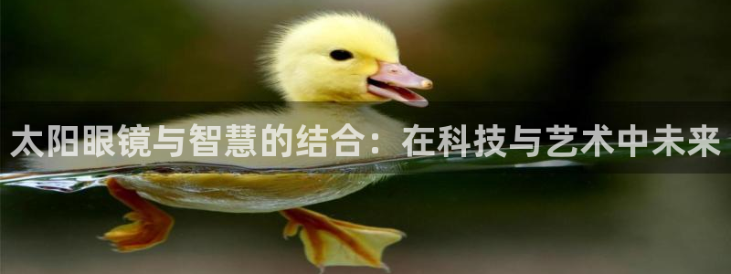 新宝5彩票娱乐平台