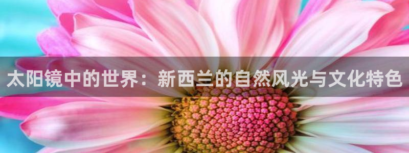 新宝5玩法