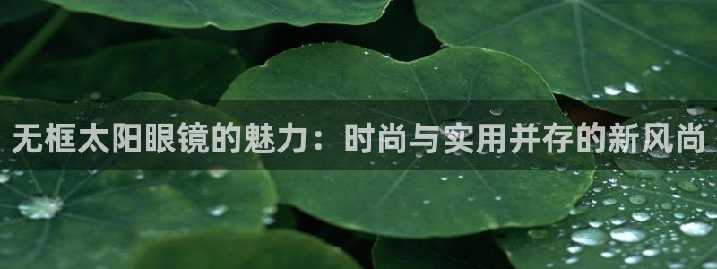 新宝5官网