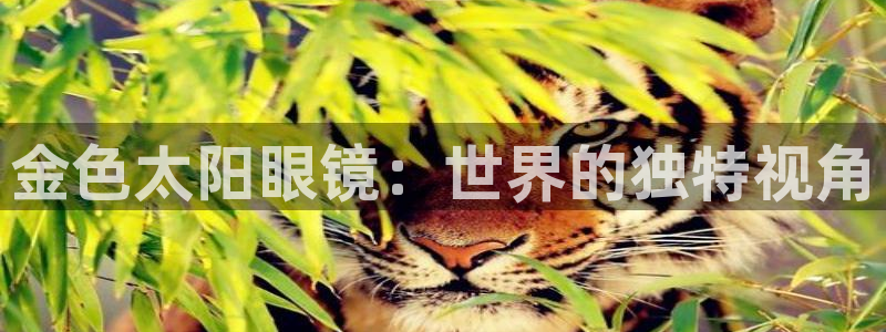 新宝股东张听2 5 5