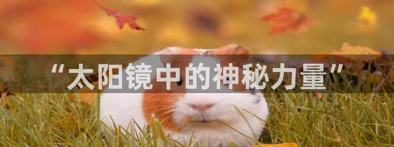 新宝5怎么下载到桌面