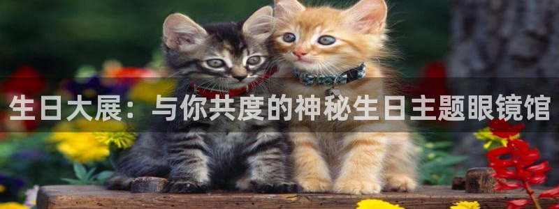 新宝股东张听2 5 5